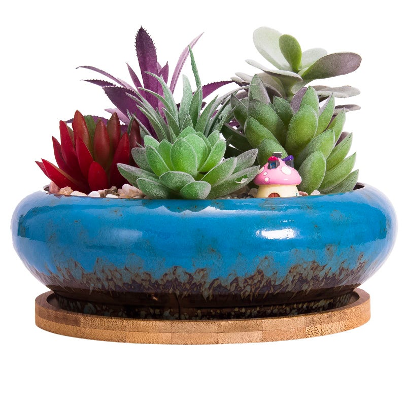 ARTKETTY Succulent Pots - 7.3 Inch Large Succulent Planters with Drainage Ceramic Bonsai Pots with Bamboo Tray, Shallow Planters for Indoor Cactus Plants Decorative Flower Plant Container - Image 1